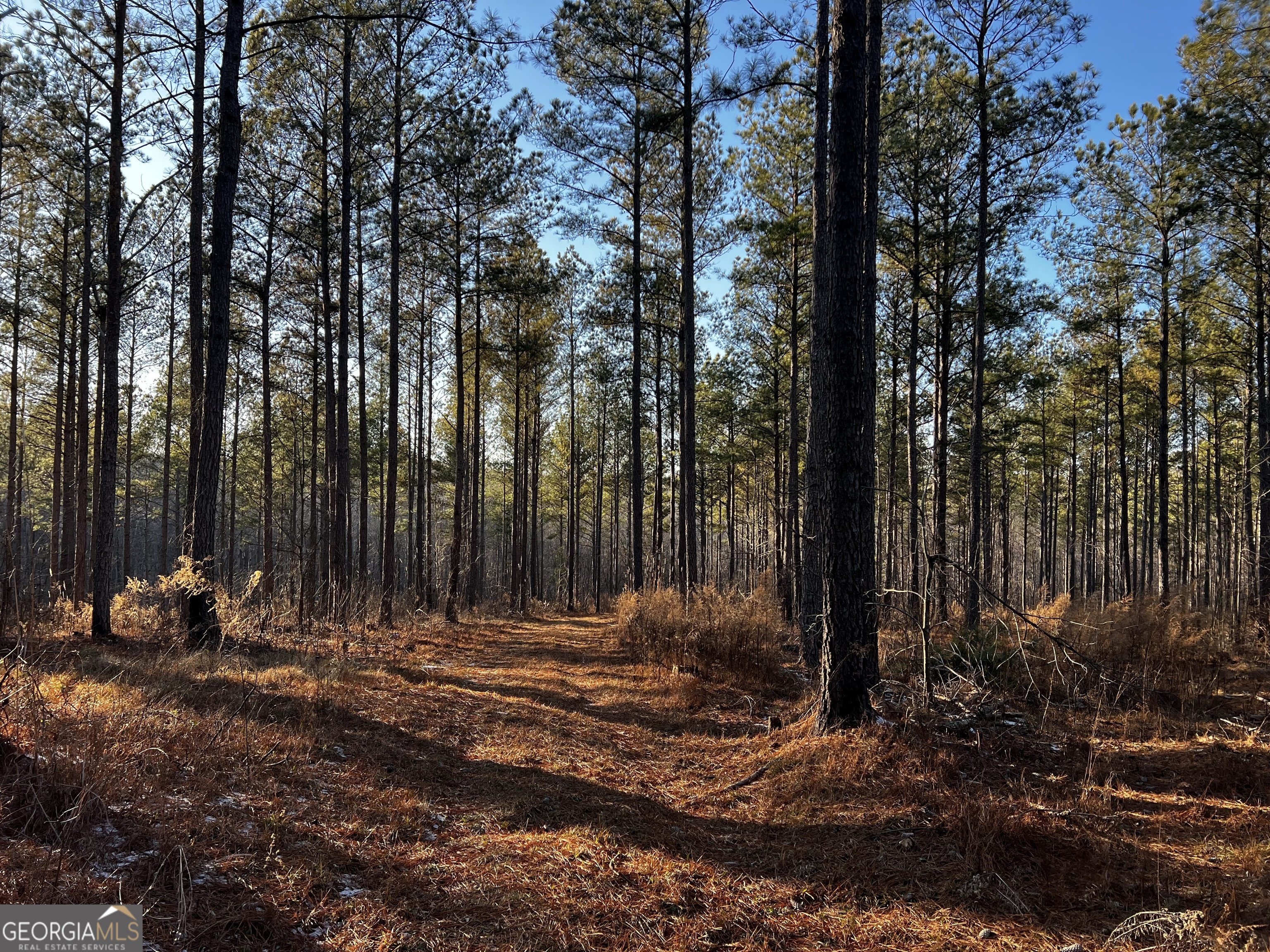 2285 Cherokee Road Comer, GA 30629 - Photo 48 of 61 a backyard of a house with lots of green space