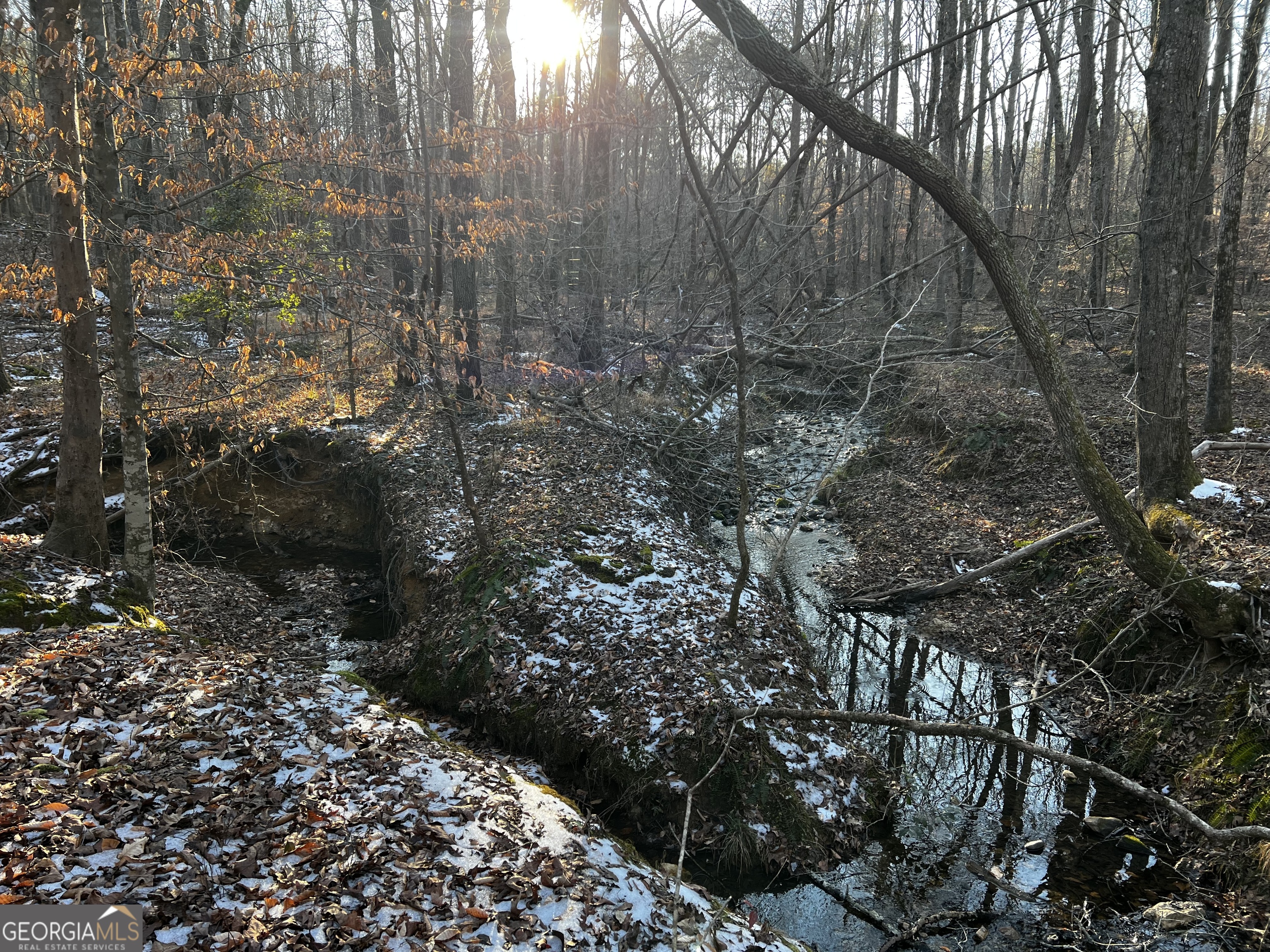 2285 Cherokee Road Comer, GA 30629 - Photo 50 of 61 a view of a forest that has a tree