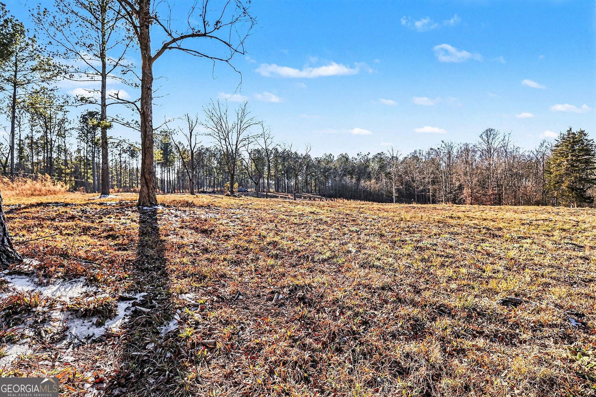 2285 Cherokee Road Comer, GA 30629 - Photo 5 of 61 a view of a yard with a tree