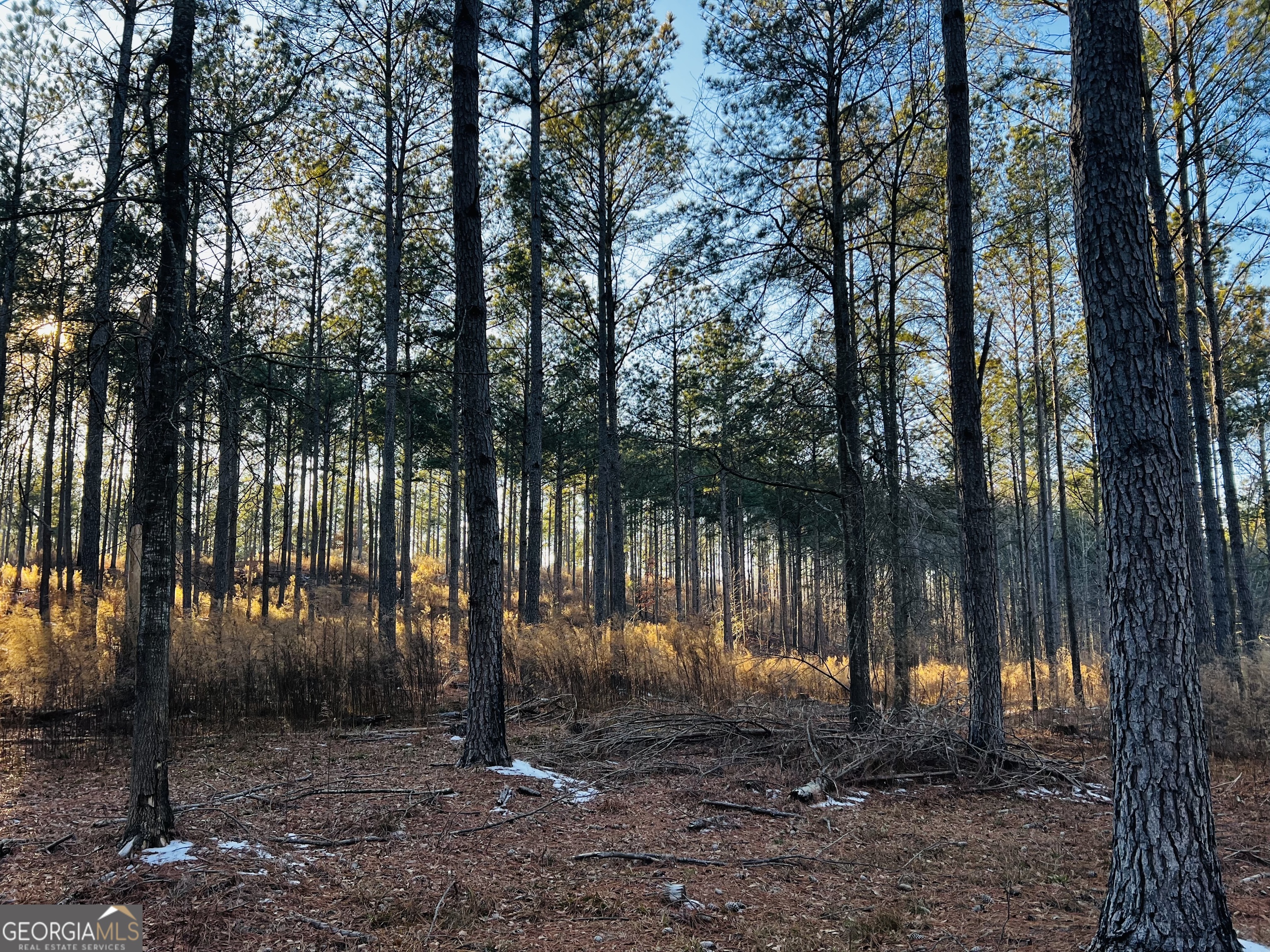 2285 Cherokee Road Comer, GA 30629 - Photo 52 of 61 a backyard of a house with lots of green space