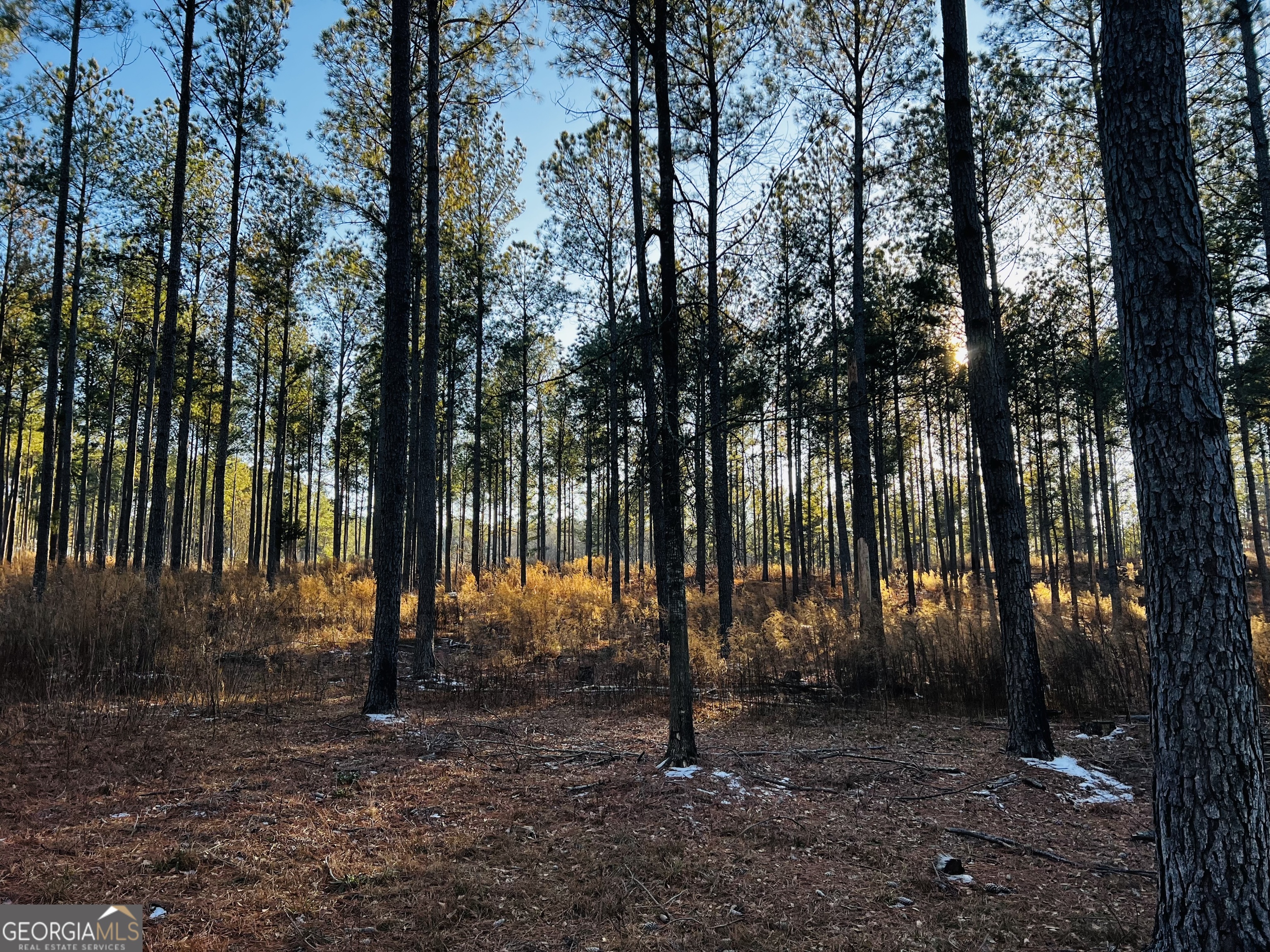 2285 Cherokee Road Comer, GA 30629 - Photo 54 of 61 a view of park