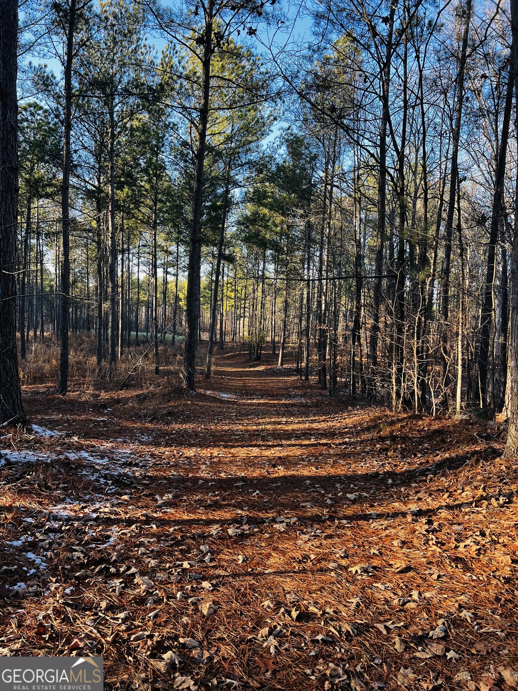 2285 Cherokee Road Comer, GA 30629 - Photo 56 of 61 a backyard of a house with lots of green space