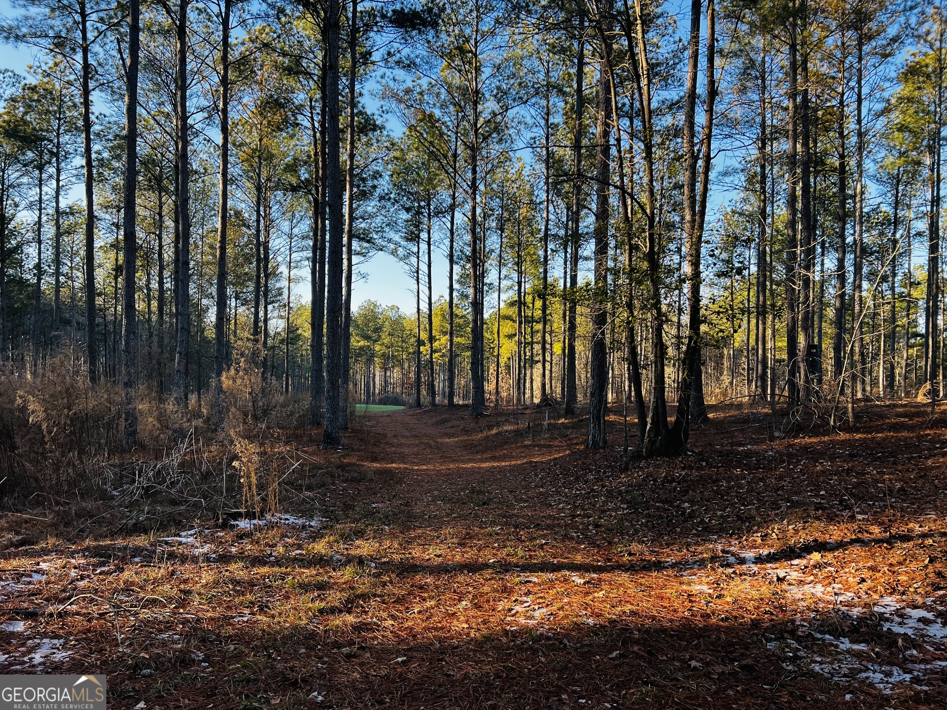 2285 Cherokee Road Comer, GA 30629 - Photo 58 of 61 a view of backyard with green space