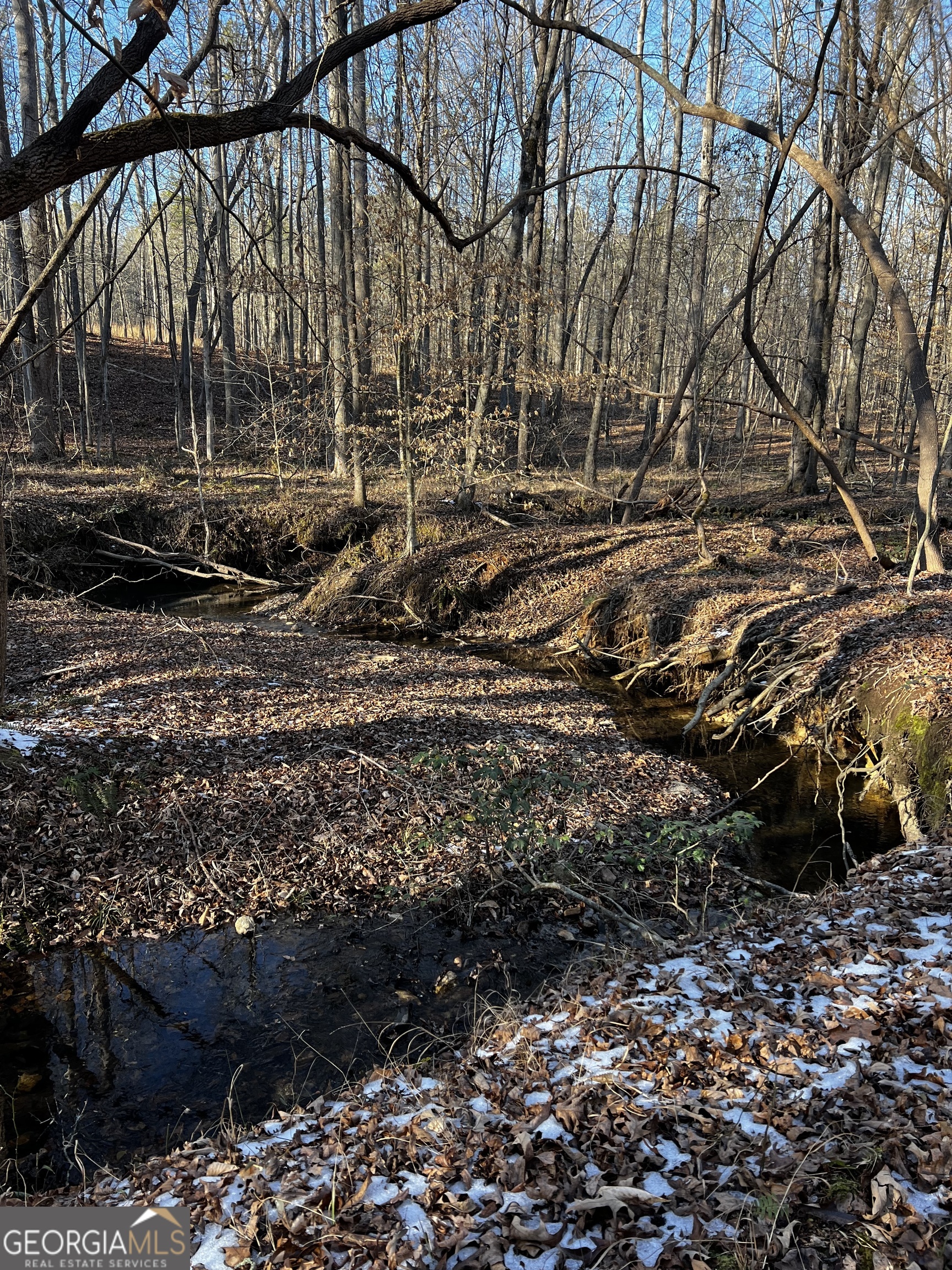 2285 Cherokee Road Comer, GA 30629 - Photo 59 of 61 a backyard of a house with lots of green space