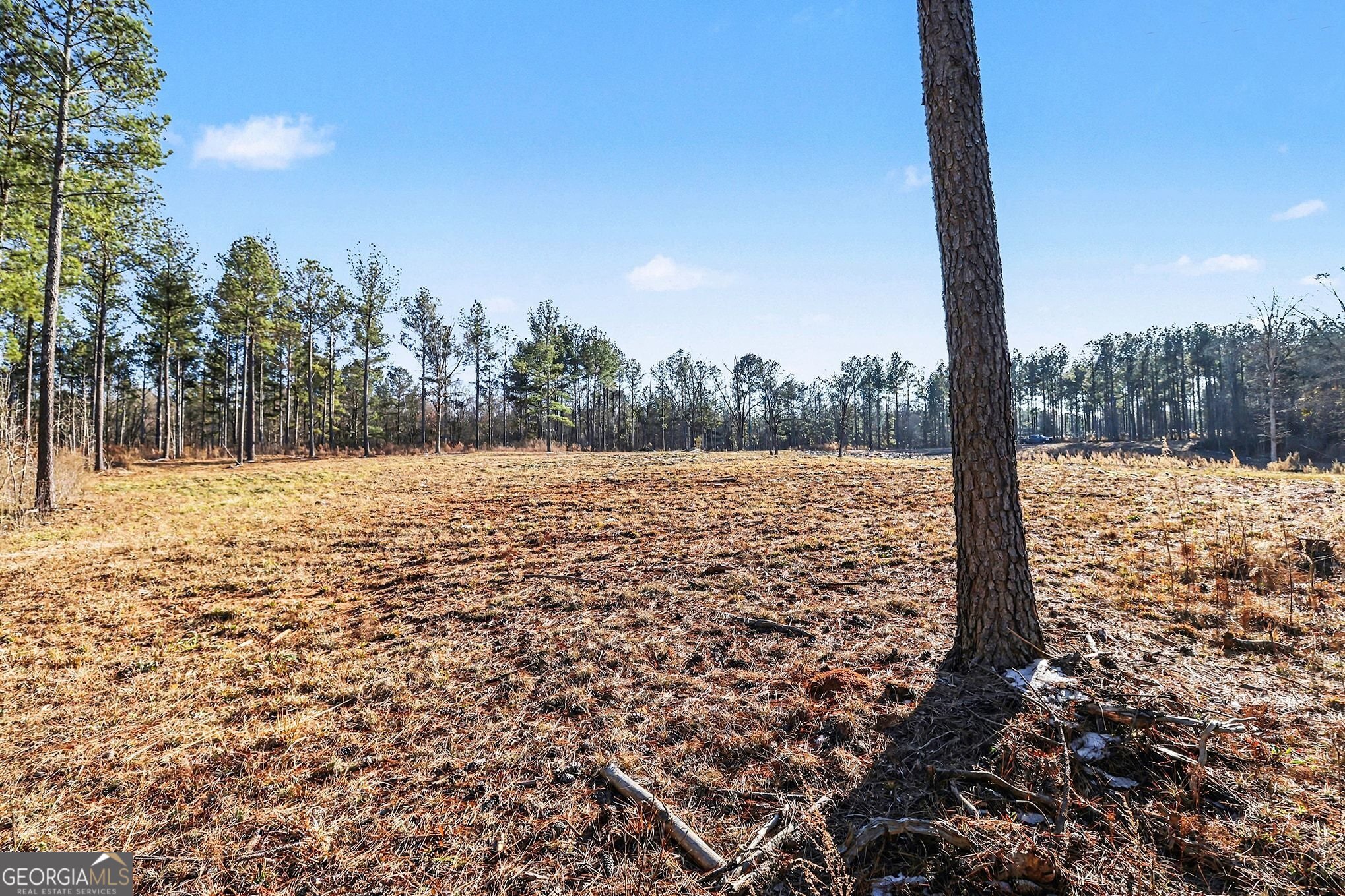 2285 Cherokee Road Comer, GA 30629 - Photo 6 of 61 a view of a yard with a tree