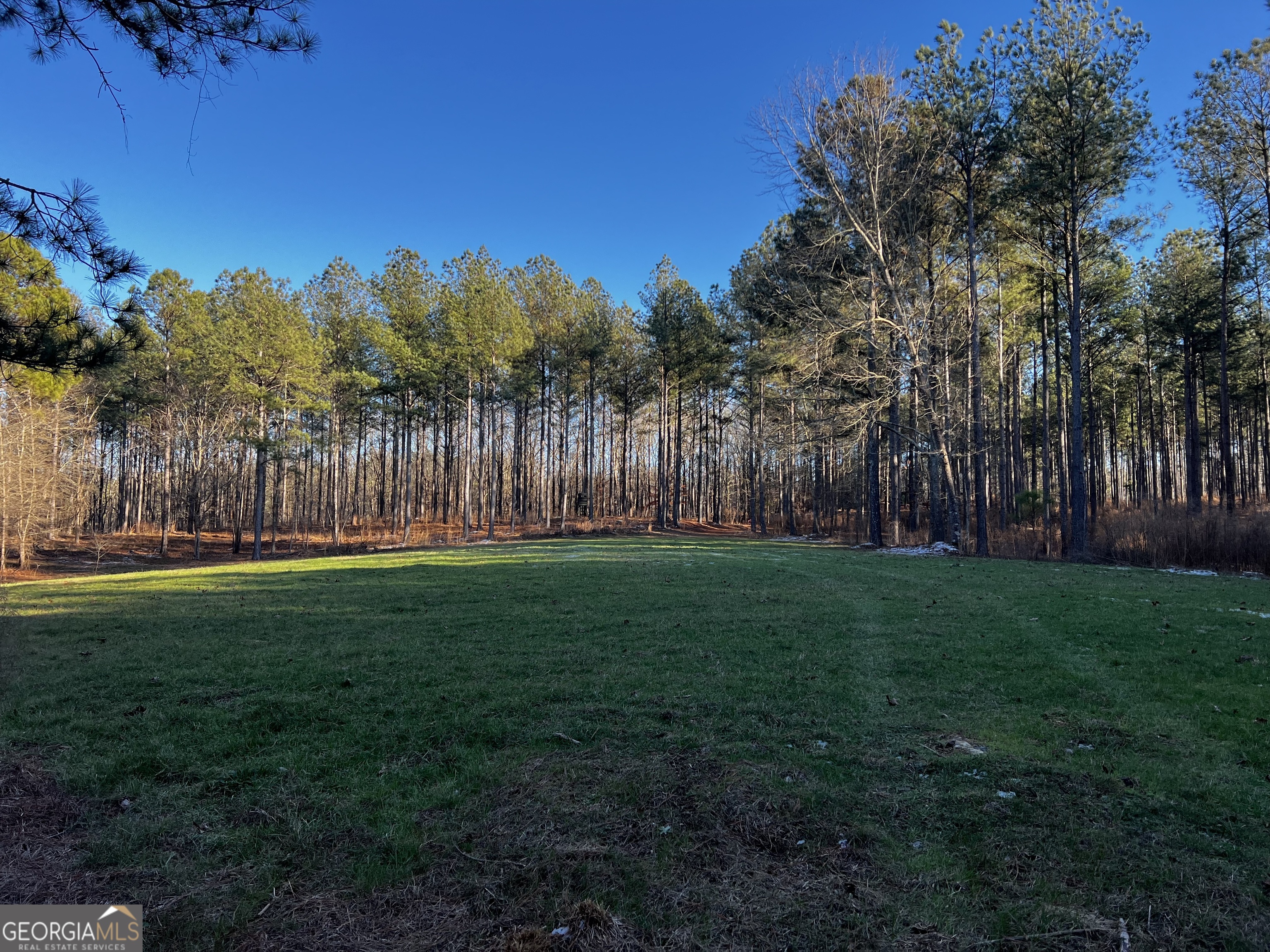 2285 Cherokee Road Comer, GA 30629 - Photo 61 of 61 a view of a yard with a trees