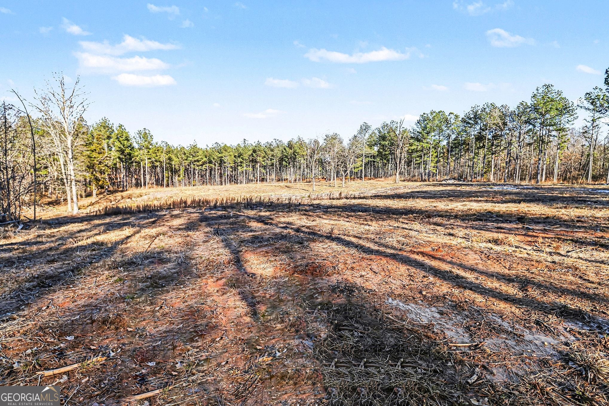 2285 Cherokee Road Comer, GA 30629 - Photo 7 of 61