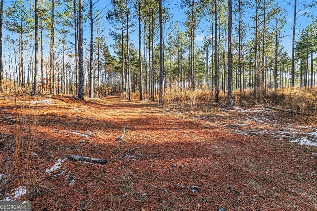 a backyard of a house with trees