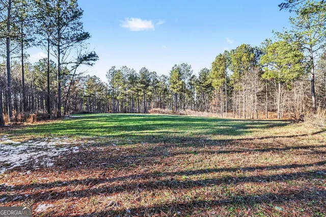 a view of a backyard