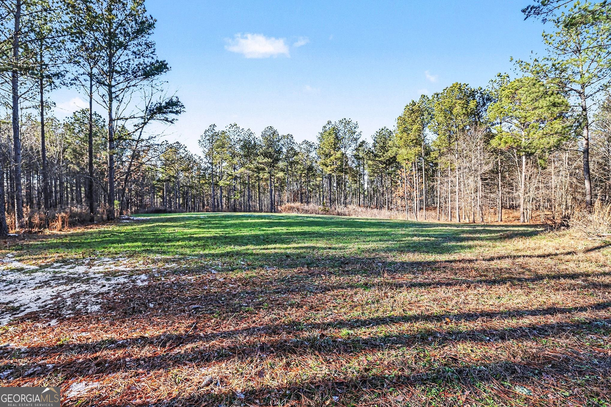 2285 Cherokee Road Comer, GA 30629 - Photo 9 of 61 a view of a golf course