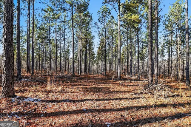 a view of a yard with a house in the background