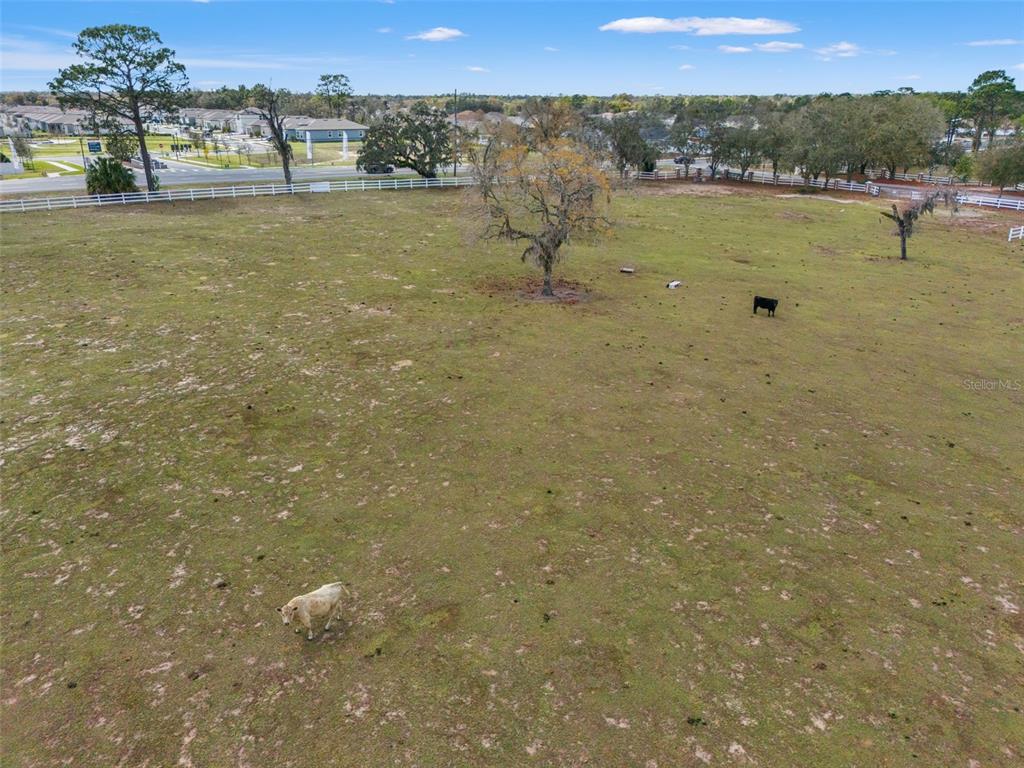 0 Gloucester Road Brooksville, FL 34604 - Photo 14 of 49 a view of a lake