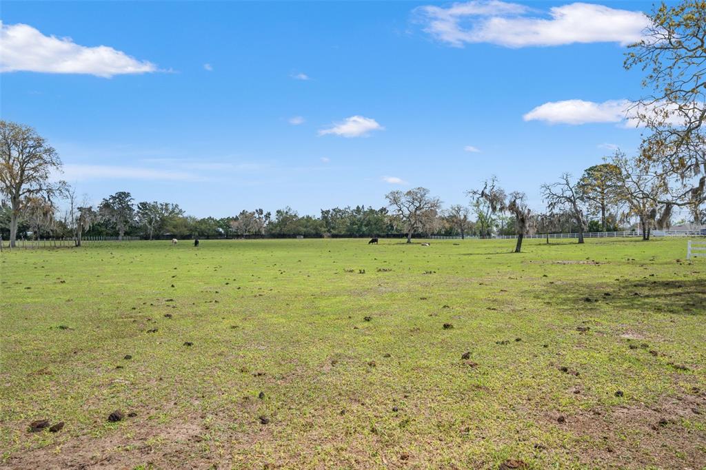 0 Gloucester Road Brooksville, FL 34604 - Photo 19 of 49 a view of a building with a yard