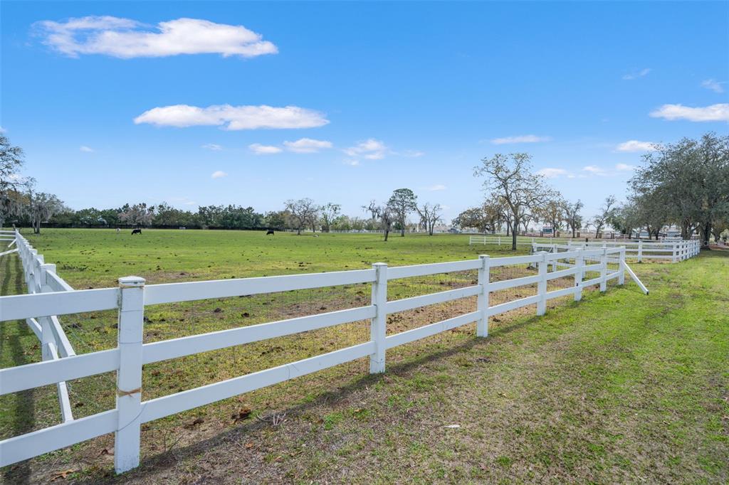 0 Gloucester Road Brooksville, FL 34604 - Photo 20 of 49 a view of a park with houses
