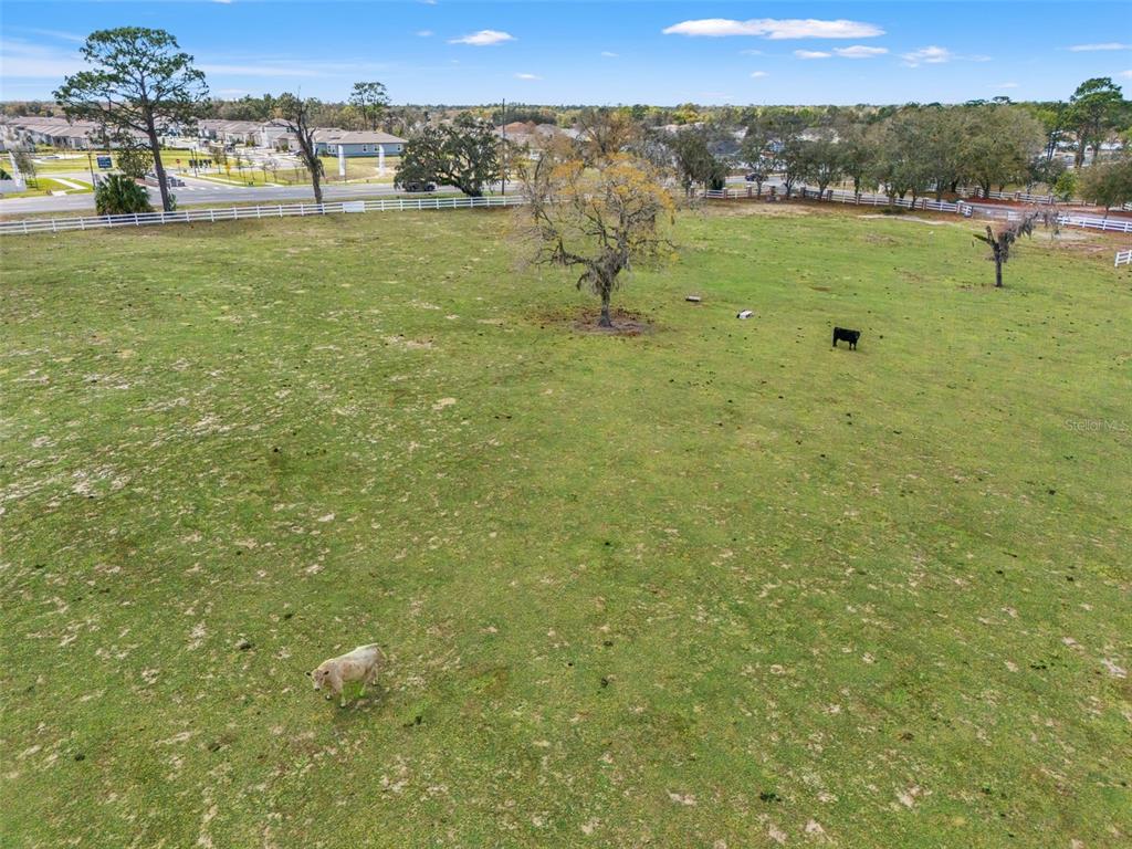 0 Gloucester Road Brooksville, FL 34604 - Photo 39 of 49 a view of a lake