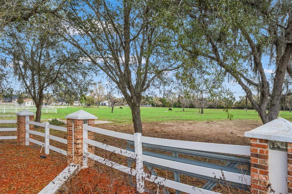 0 Gloucester Road Brooksville, FL 34604 - Photo 40 of 49 a view of a backyard with trees