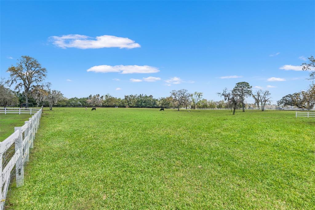 0 Gloucester Road Brooksville, FL 34604 - Photo 44 of 49 a view of a golf course with a lake