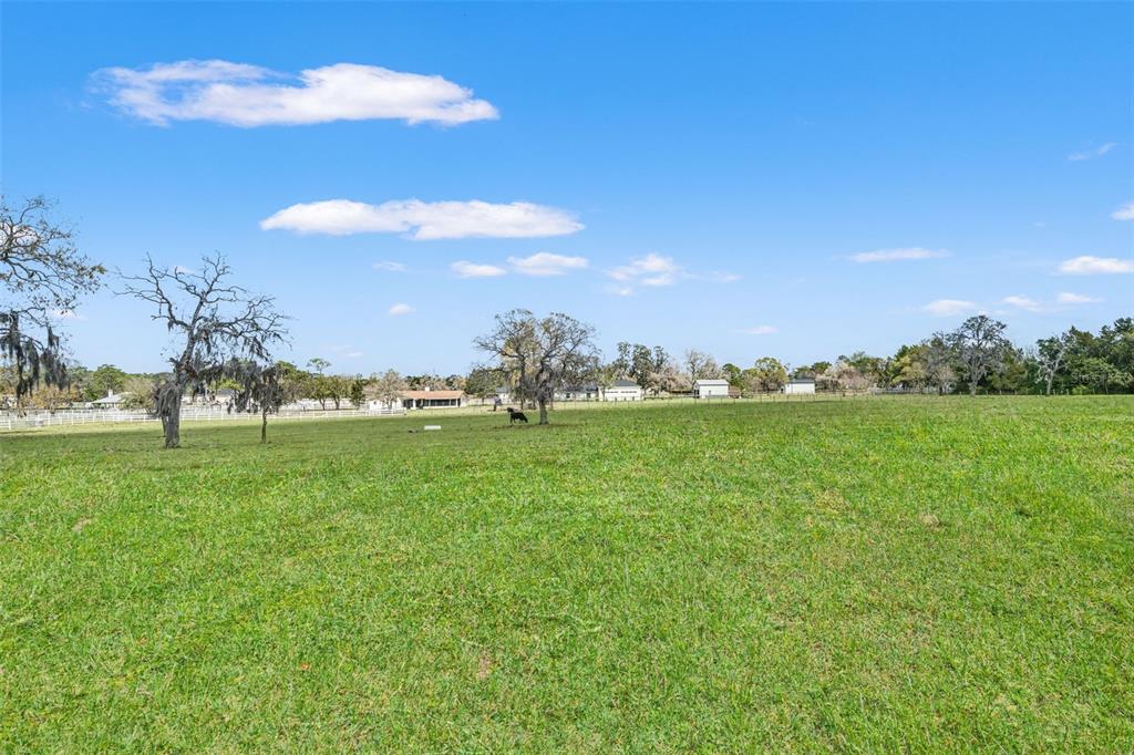 0 Gloucester Road Brooksville, FL 34604 - Photo 47 of 49 a view of an outdoor space and yard