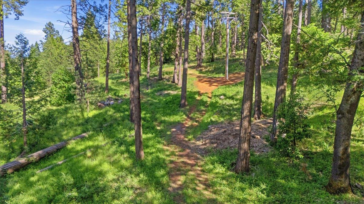 11021 Pittsburg Mine Road Nevada City, CA 95959 - Photo 18 of 36