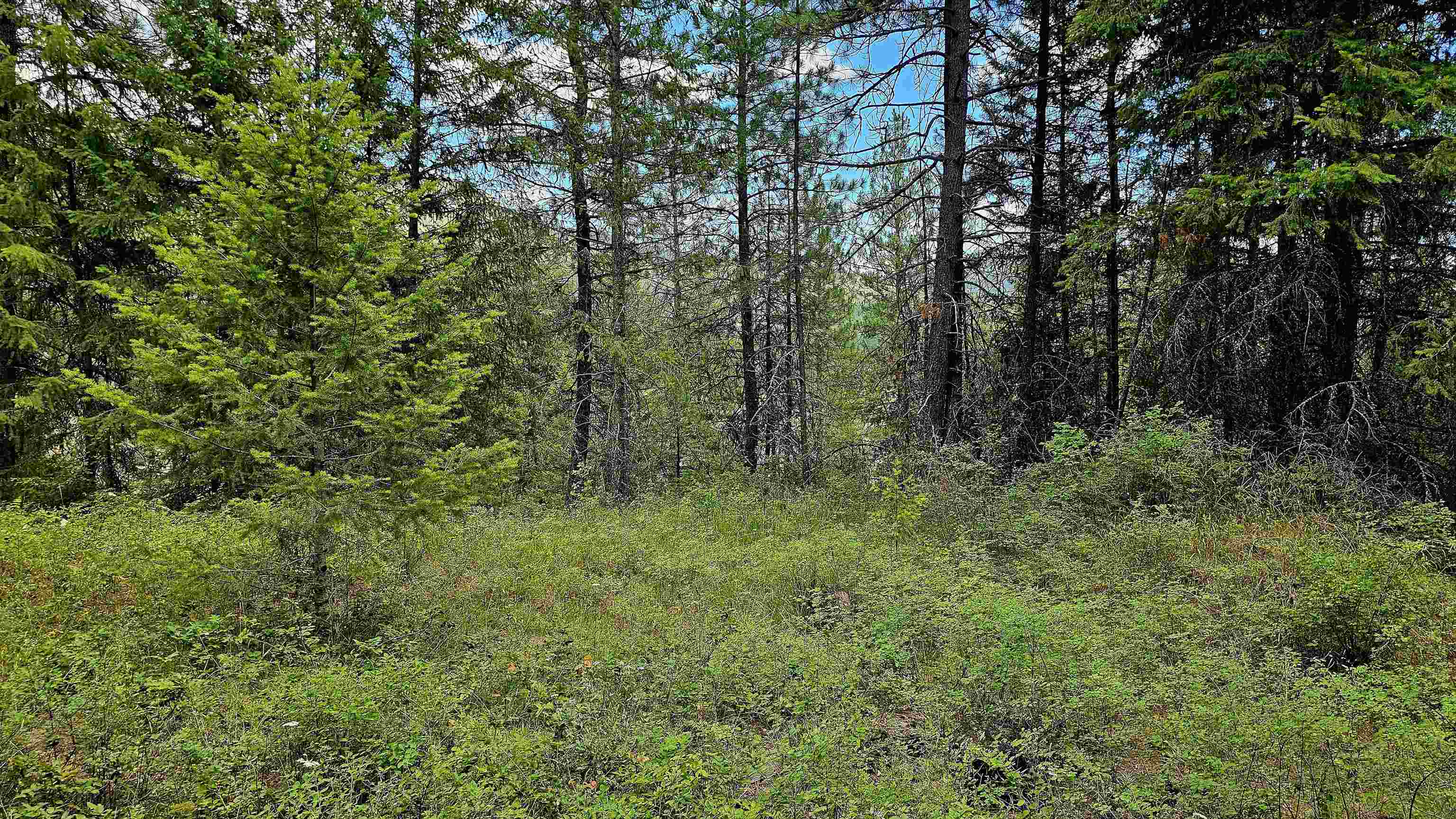 10 Humes Road Kettle Falls, WA 99141 - Photo 9 of 20