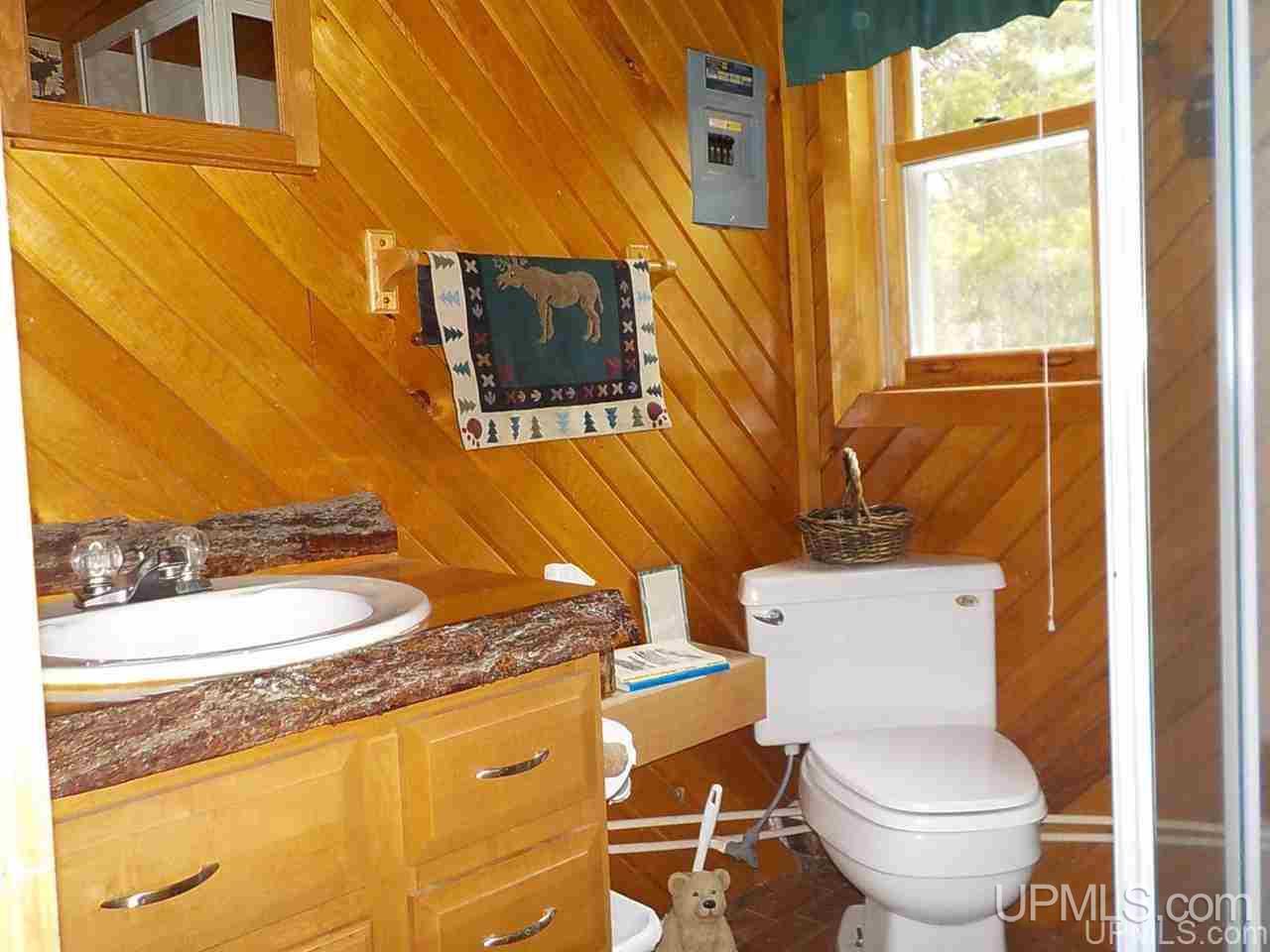 40-ac Bone Lake Road Crystal Falls, MI 49920 - Photo 6 of 36 Gallery Image 6