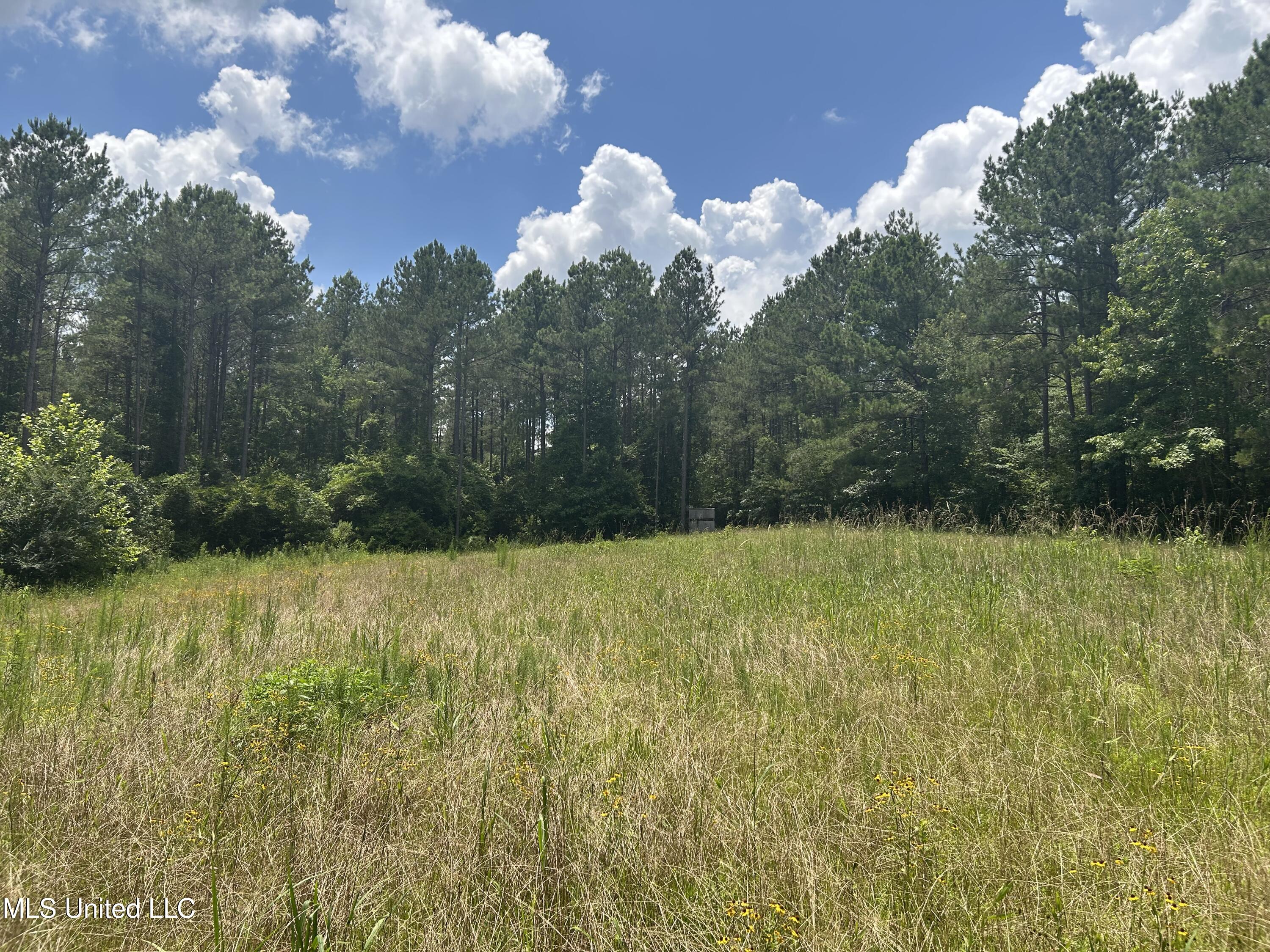 Warren Road Brandon, MS 39042 - Photo 1 of 37 The Rankin 103.5