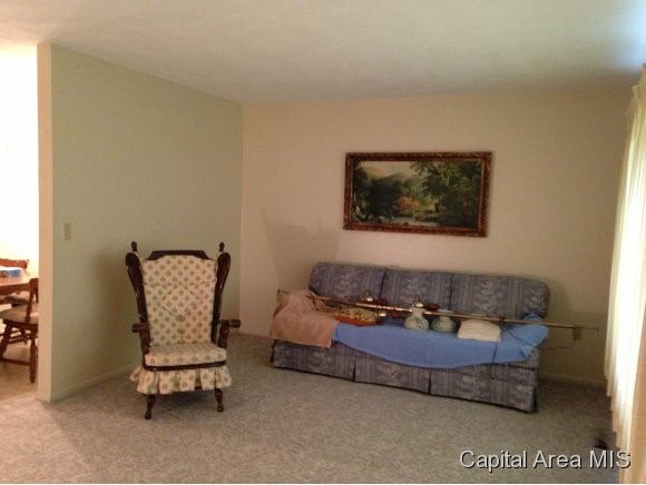 219 Dickinson Road Springfield, IL 62704 - Photo 3 of 6