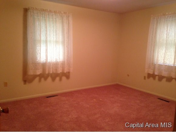 219 Dickinson Road Springfield, IL 62704 - Photo 6 of 6