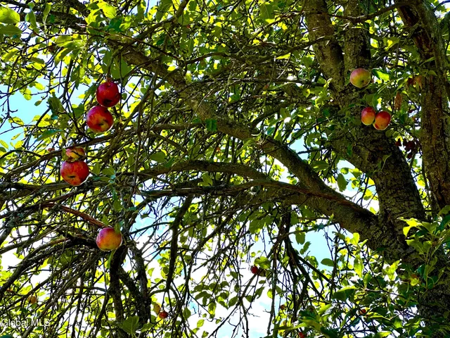 $299,000 | 228 Brower Road, Palatine Bridge, NY 13428