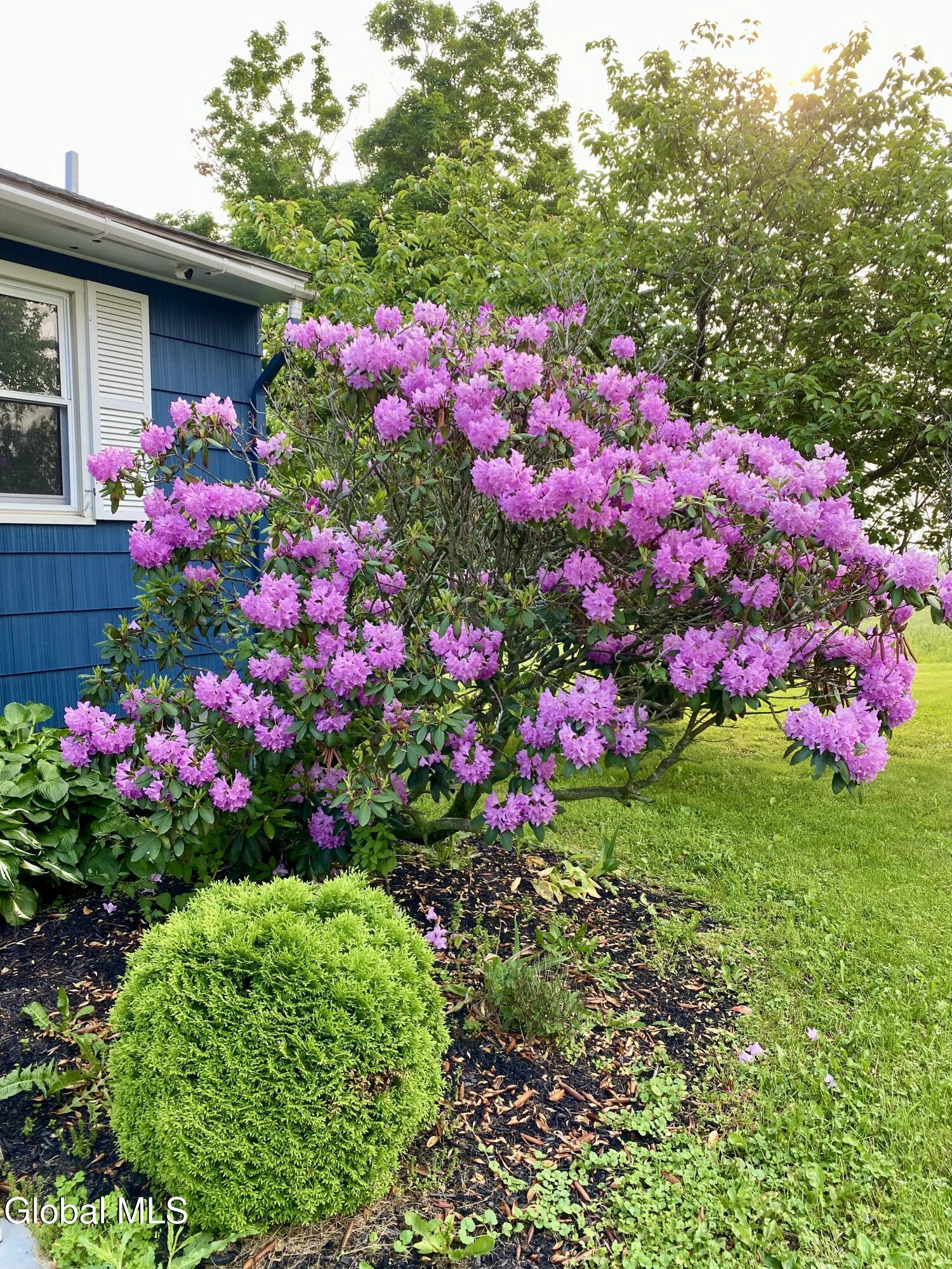 228 Brower Road Palatine Bridge, NY 13428 - Photo 9 of 35 IMG_4398