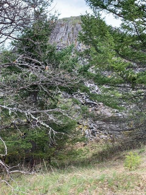 500 Conifer Way Ashland, OR 97520 - Photo 10 of 11 Rock outcropping top