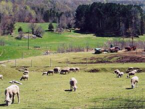 417 Irish Settlement Road Underhill, VT 05489 - Photo 5 of 6 Gallery Image 5