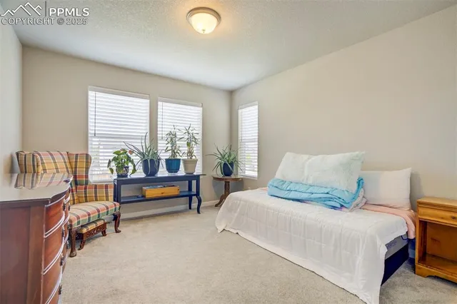 a bedroom with a bed and a couch