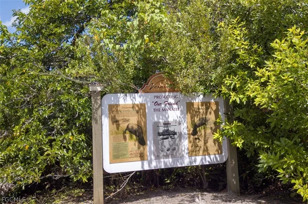 a view of a tree in front of house