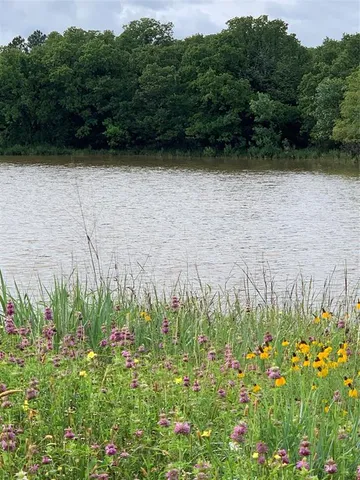 a view of an lush green mountain