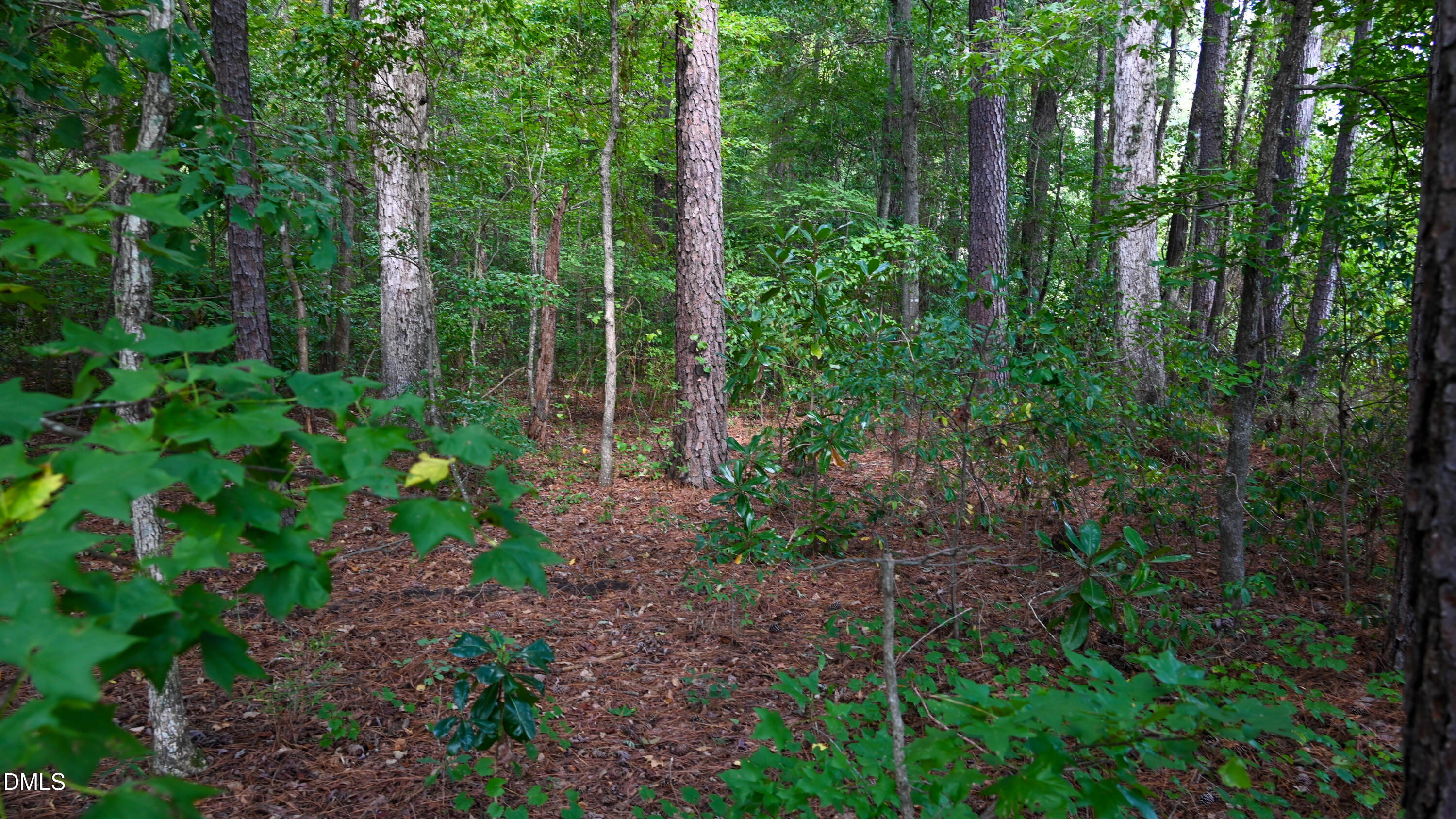Tbd Jacobs Road Maxton, NC 28364 - Photo 21 of 23 RAE_0837