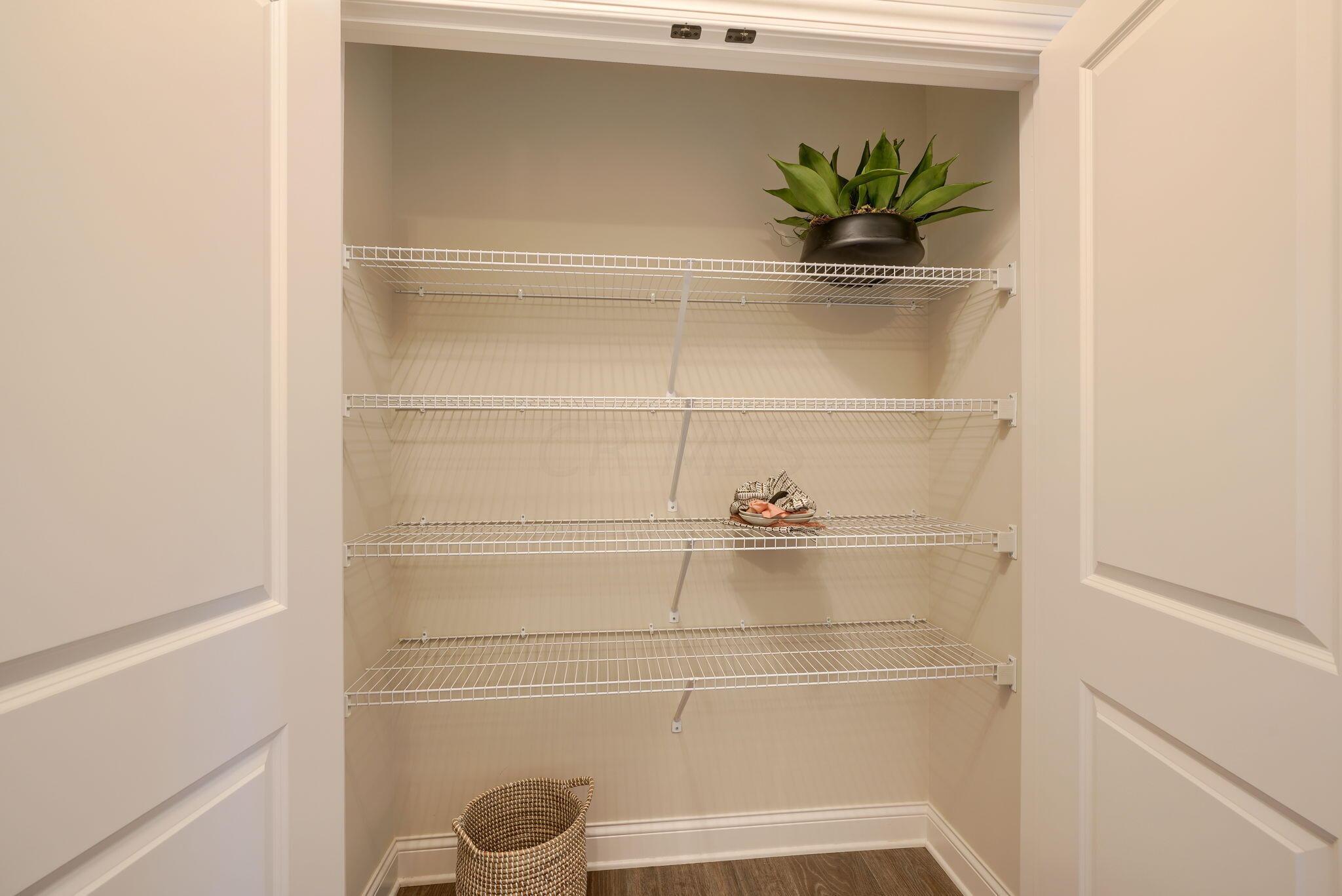 6660 Trinity Mist Way Delaware, OH 43015 - Photo 23 of 62 Pantry