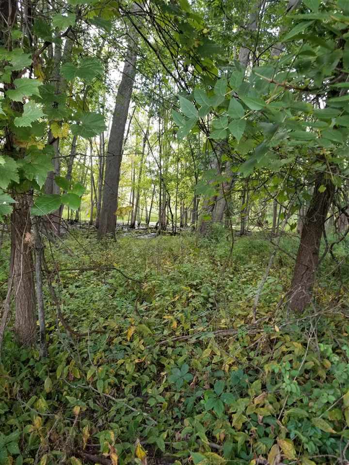 Parcel #1 Parcel Road Comstock Park, MI 49321 - Photo 15 of 24