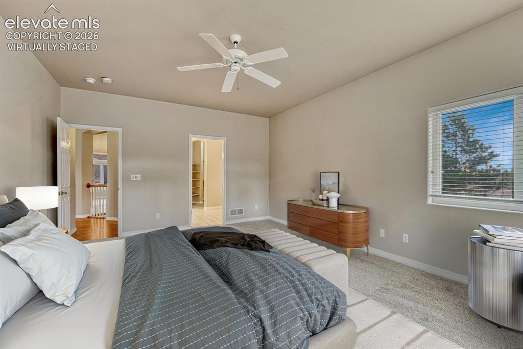 1665 Doe Run Point Colorado Springs, CO 80919 - Photo 16 of 48 Primary Bedroom Virtually Staged