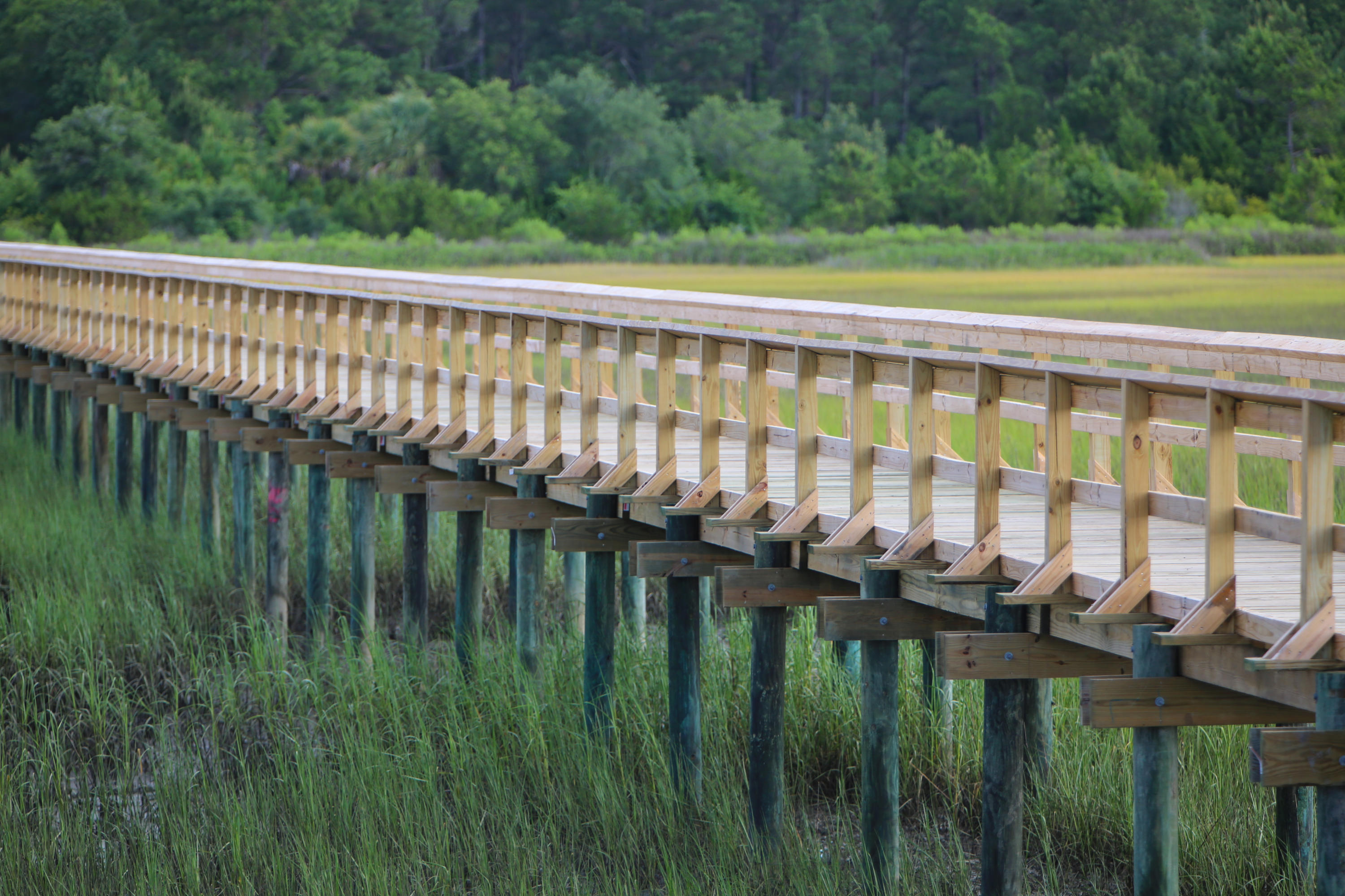 1594 Red Tide Road Mount Pleasant, SC 29466 - Photo 25 of 29 1 Dock Detail