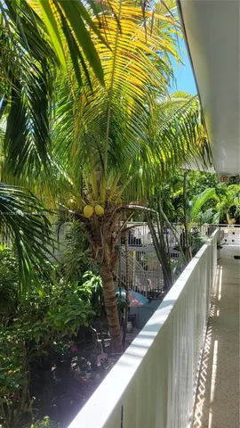 a plant is in a garden