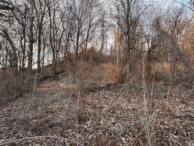 2021 Akron Peninsula Road Akron, OH 44313 - Photo 7 of 8 Gallery Image 7
