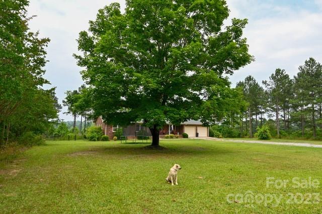 336 Mt Tabor Church Road Union, SC 29379 - Photo 3 of 37 a view of green field with trees