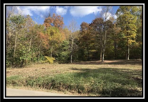 1476 Whetstone Road Bainbridge, OH 45612 - Photo 3 of 37 image003