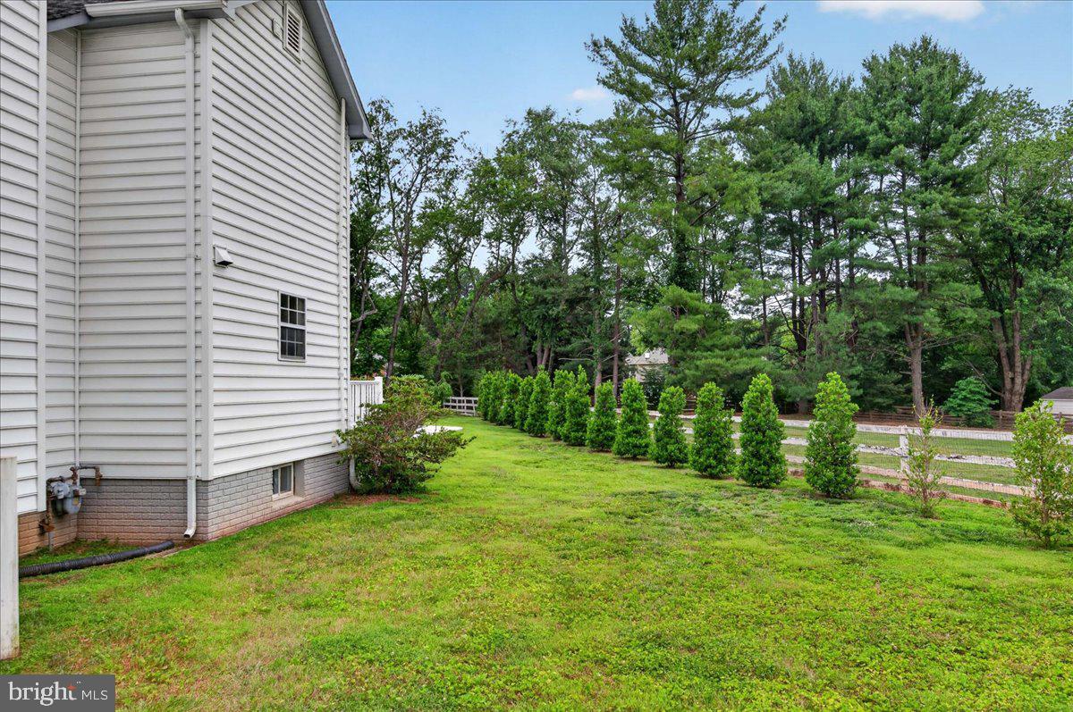 11057 Bishopsgate Court Reston, VA 20194 - Photo 64 of 72 21 Oakland Holly privacy trees