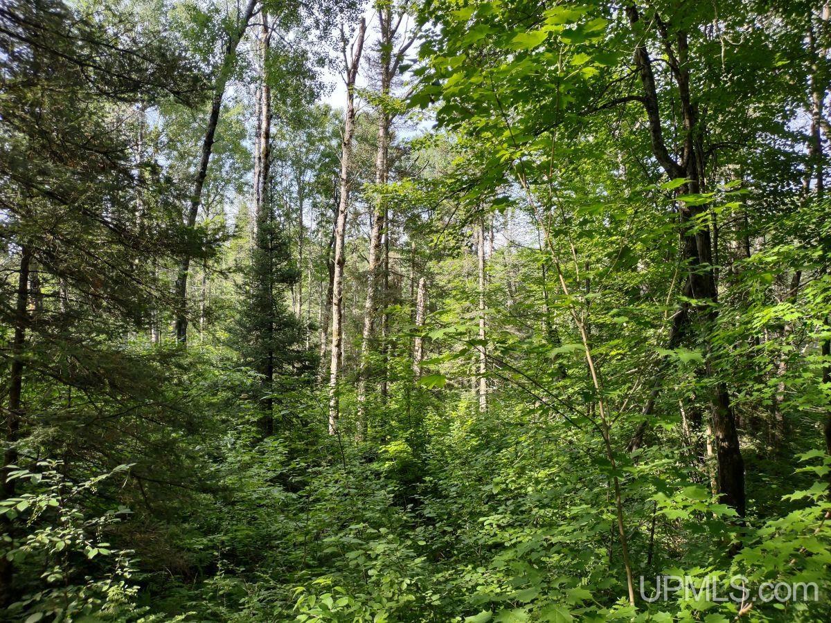 Tbd Spot Lake Road Crystal Falls, MI 49920 - Photo 25 of 26