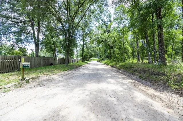 a view of a green field with lots of bushes