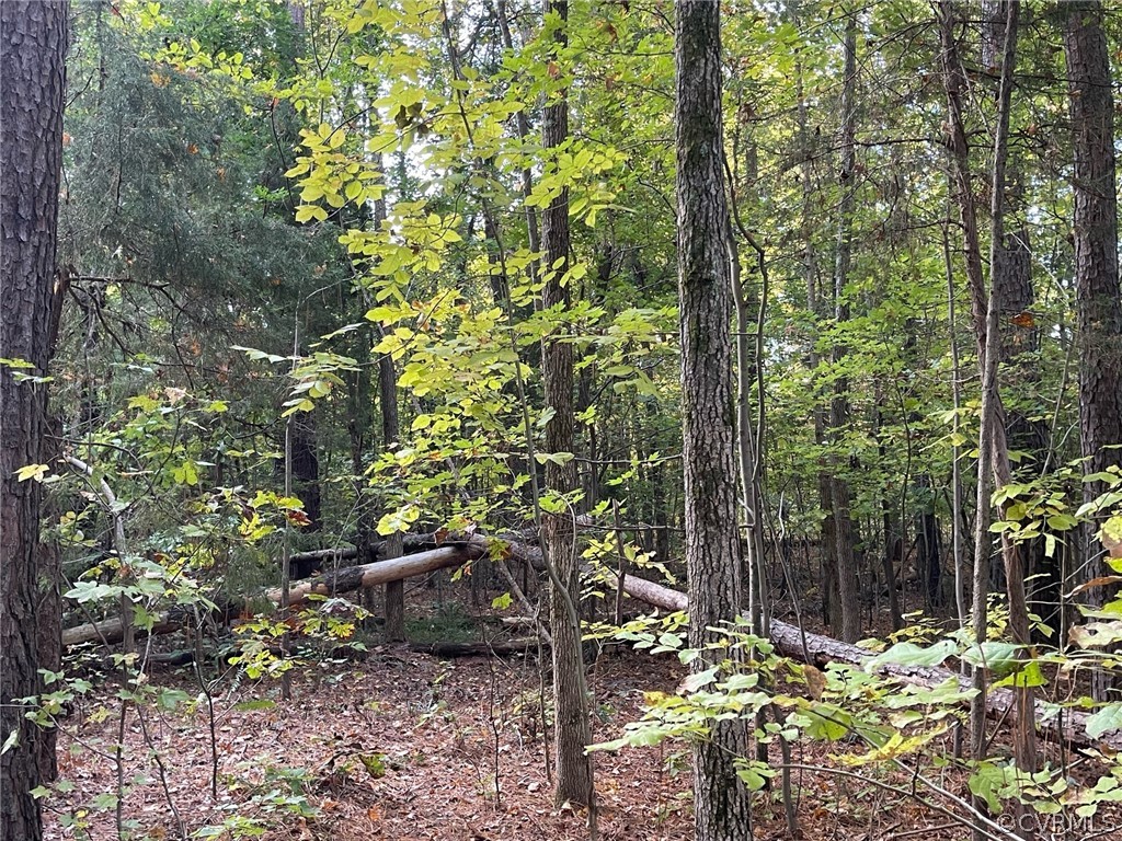 0 Asal Road Powhatan, VA 23139 - Photo 15 of 46 Gallery Image 15