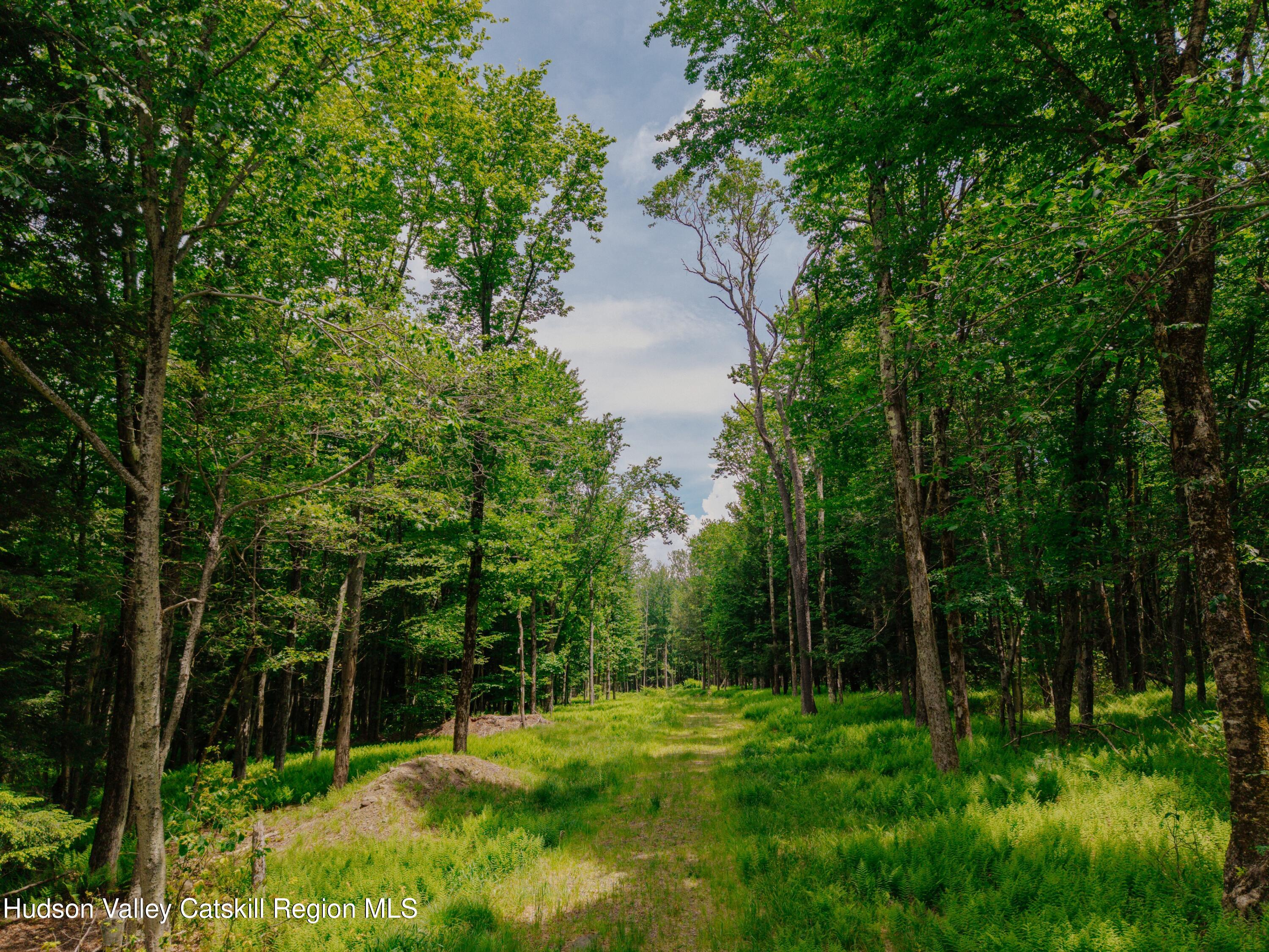 Tbd Church Lake Road Livingston Manor, NY 12758 - Photo 2 of 33 shandelee-woods-thatupstateagent-1-2