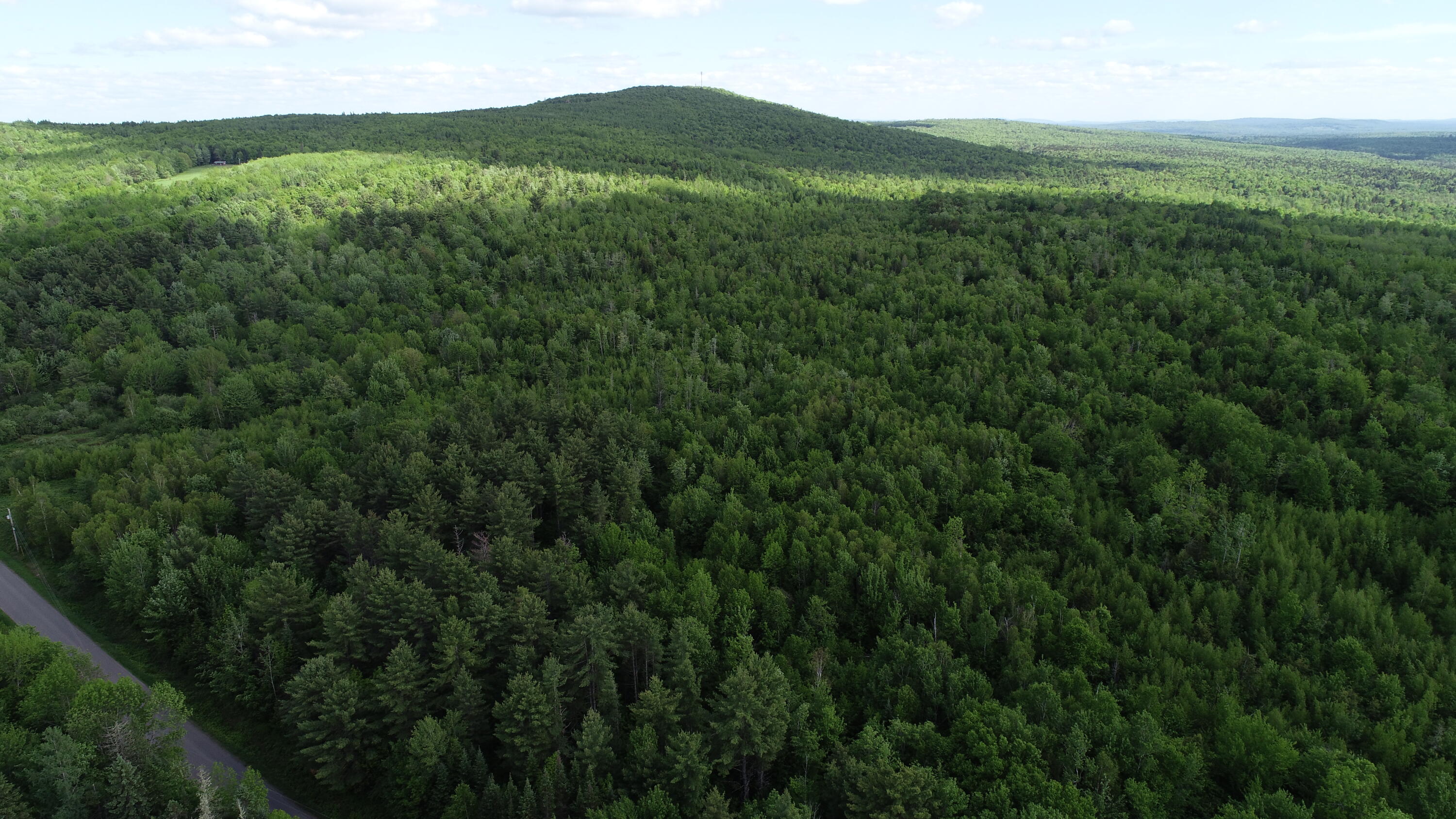 Lot 5 Harris Hill Road Weston, ME 04424 - Photo 14 of 21 DJI_0753